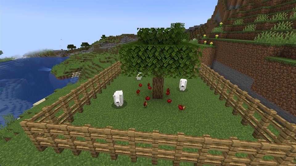 Goats in a pen next to an apple tree, apples dropped on the grass